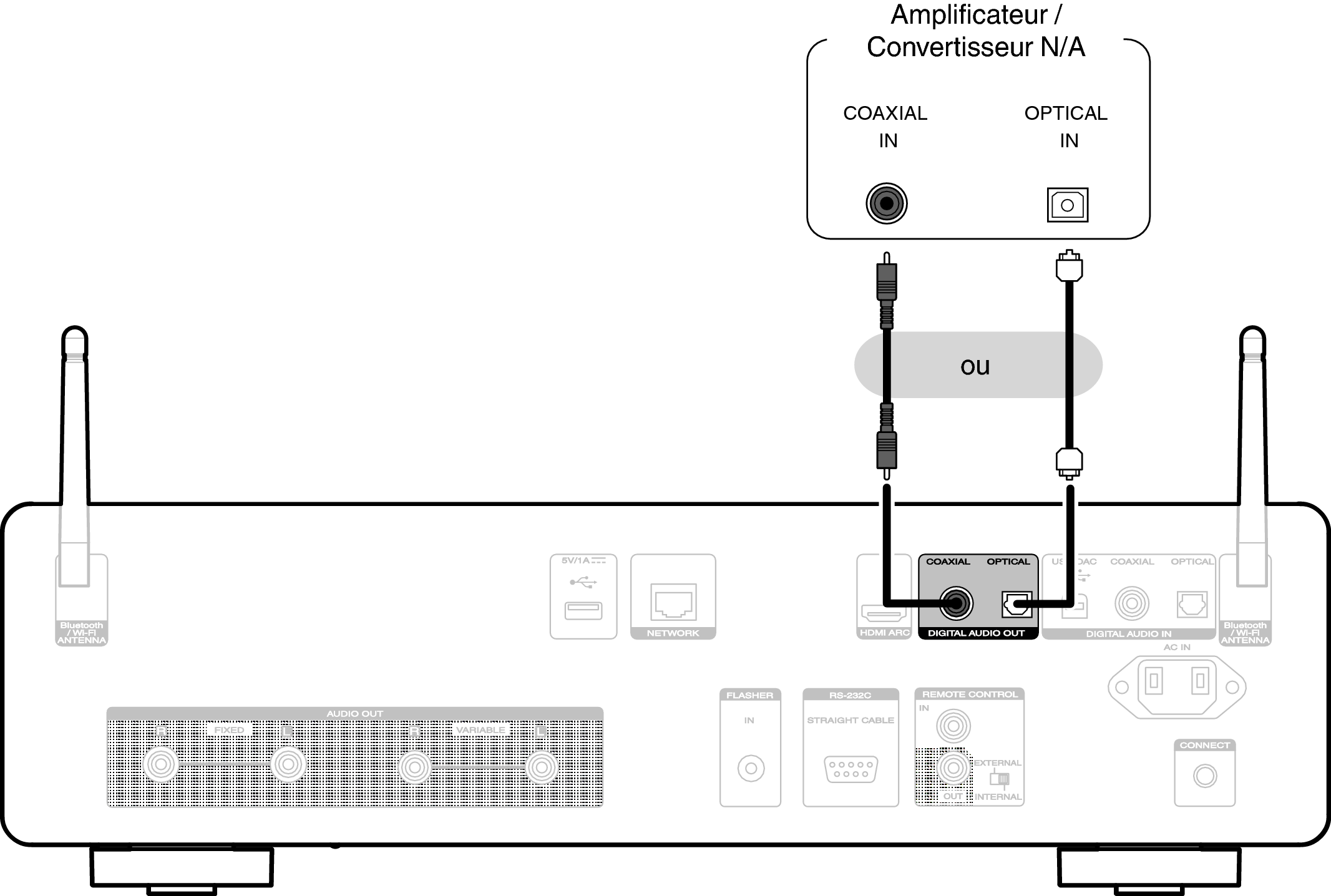 Conne DigitalOut CD50n